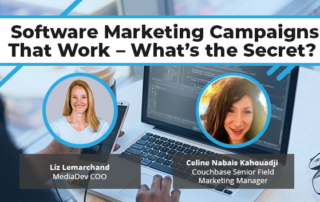 software marketing campaigns